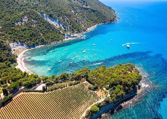 Apartament L'odyssee Bleue Vue Cassis
